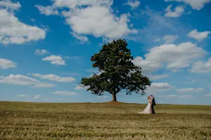 The Bridegroom's Oak: The Tree in Germany That Helps People Find Love-1