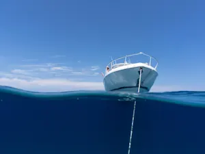 AdobeStock 550213540