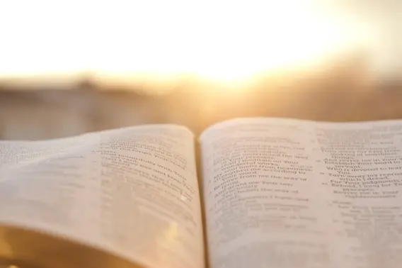 8 Religious Jokes to Make Everybunny Laugh this Easter