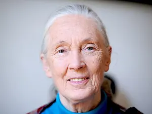 Jane Goodall 2010