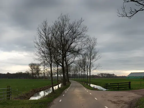 Drunk Grandma Left Baby in Rainy Ditch