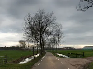 Drunk Grandma Left Baby in Rainy Ditch