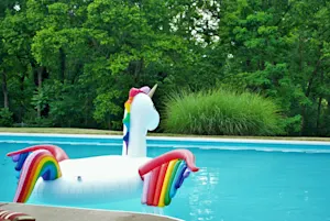 What animal floats best? image