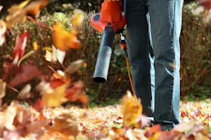 My leaf blower doesn't work. image
