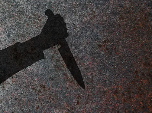 Young Woman Accused of Stabbing Lawyer to Death on Houseboat-1