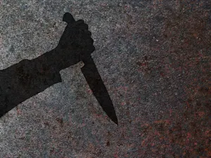 Young Woman Accused of Stabbing Lawyer to Death on Houseboat-1