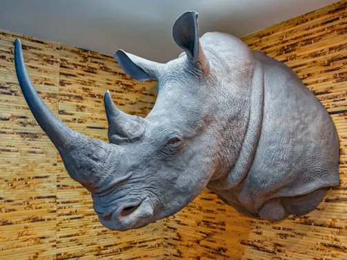 5 Shocking Facts About Trophy Hunting-1