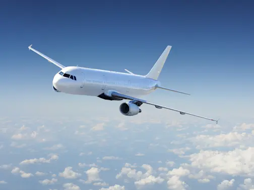 Sky Terror: Passenger Allegedly Tries to Drag Flight Attendant Off Plane Mid-Flight