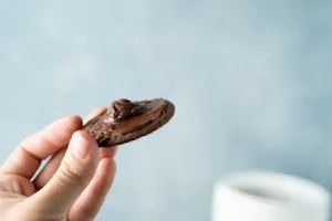 Flying Saucer Cookie