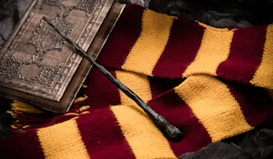 Why did Harry Potter suddenly go bald in his teens? image