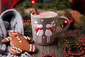 Spiked Gingerbread Hot Chocolate