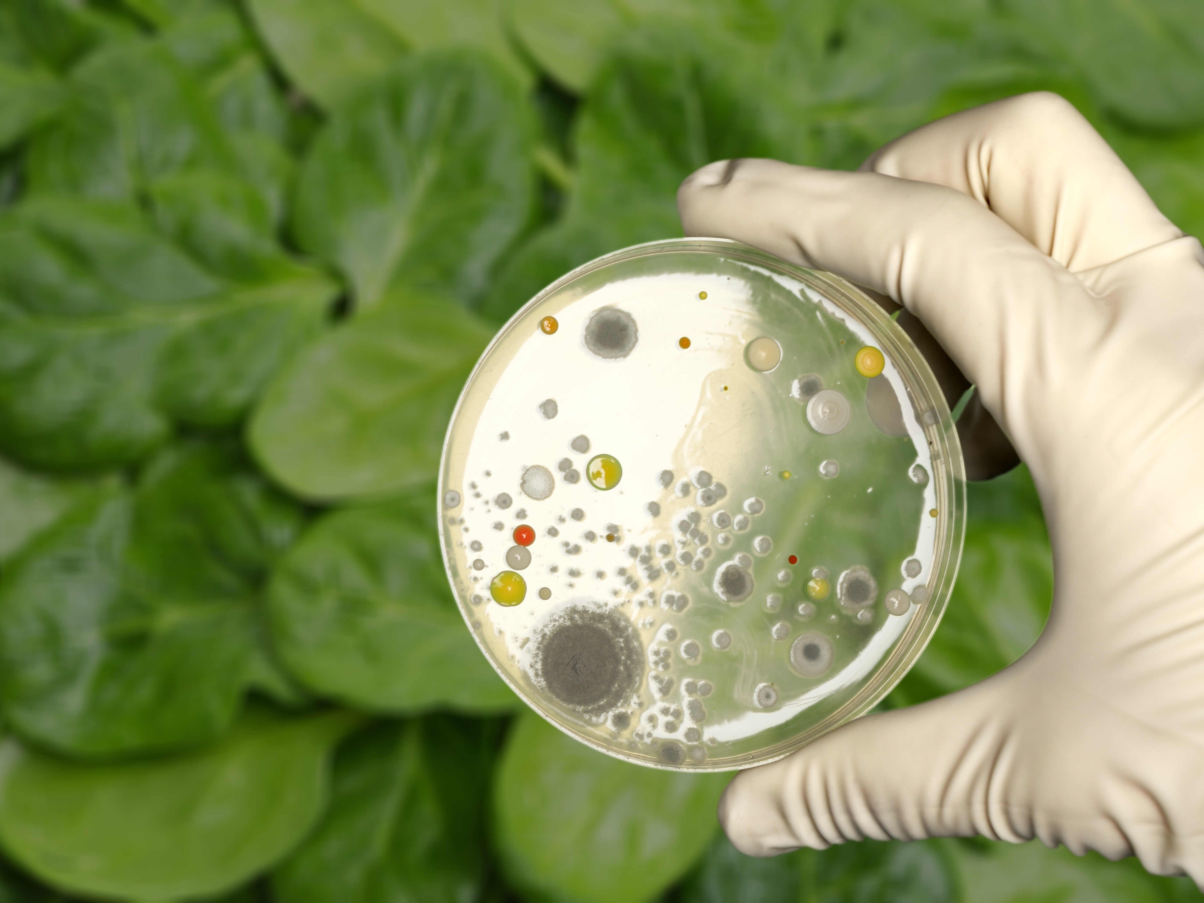 AdobeStock 239702700