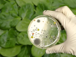 AdobeStock 239702700