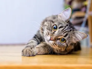 AdobeStock 236992283