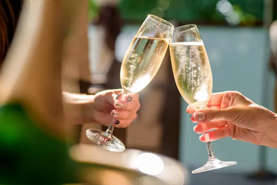 Cheers to Chance: The Accidental Invention of Champagne-1
