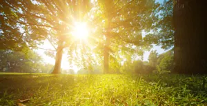 Why does the sun love to go back to school? image