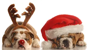 What does Rudolph call his wife? image