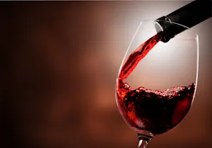 What breed of dogs are actually wine connoisseurs? image