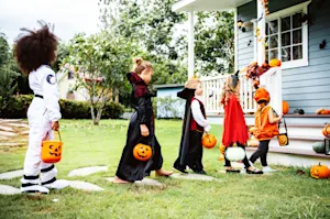 Which animal loves to scare trick or treaters? image