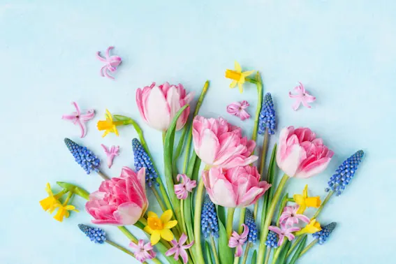 What do you call an emergency in the spring? image