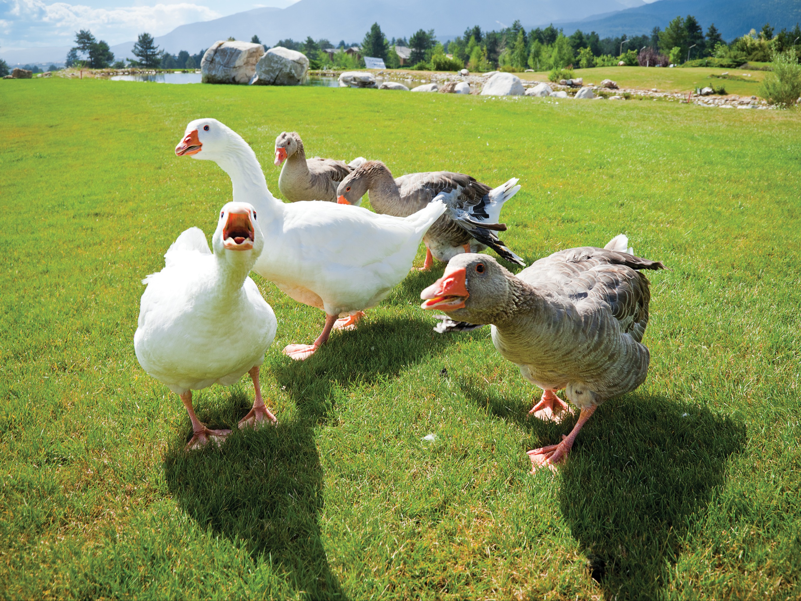 AdobeStock 100100071