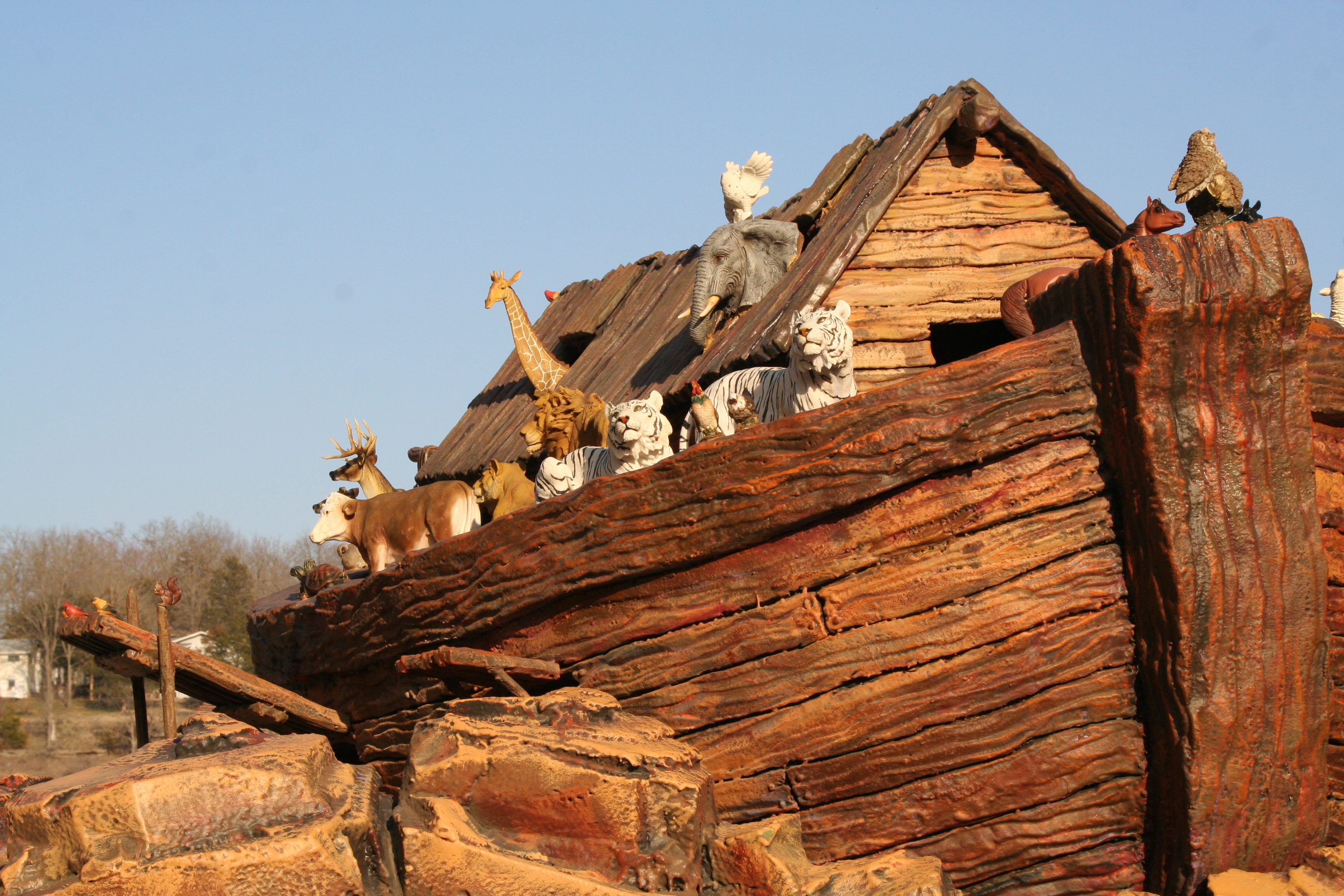 How did Noah see the animals in the Ark at night? image