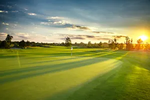 Why did Tarzan spend so much time on the golf course? image