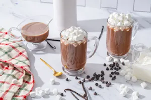 Winter's Day Hot Chocolate