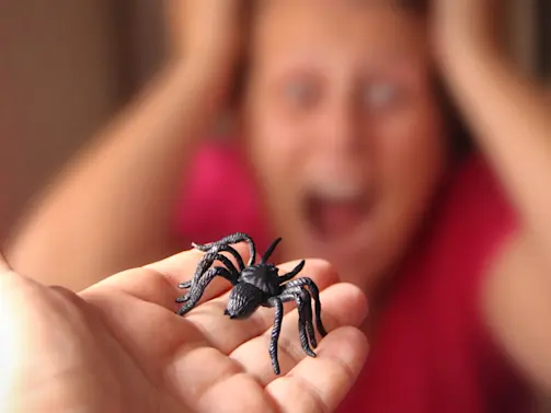 Why Are People So Afraid of Spiders?-1