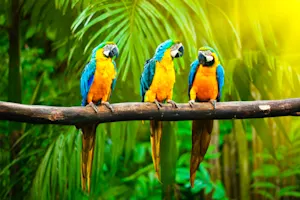 What do you get when you cross a parrot with a centipede? image