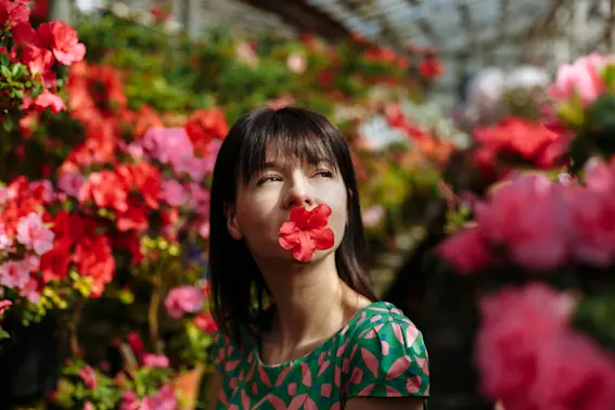 How One Couple’s Love Story Bloomed into a 1,700 Azalea Wonderland-1