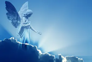 What kind of water does an angel like? image
