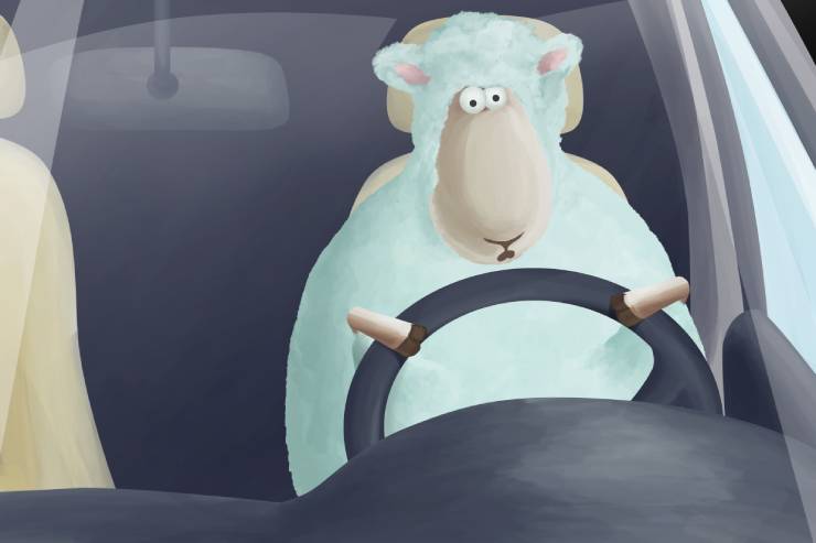  A sheep walks into a car dealership. What type of car does it ask to test image