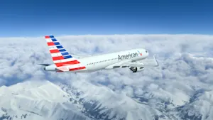 Grieving Son Sues American Airlines After Father Dies on Flight-1