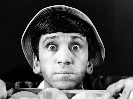 Where Did The 'Gilligan's Island' Stars End Up?-1