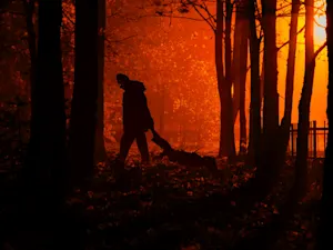 Chicago Man Claims Satan Possessed Him to Kill His Elderly Mother-1