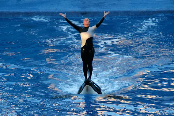 When Nature Strikes Back: 5 Tragic Fatal Animal Attacks-1