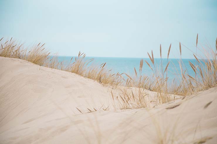  What is sand's favorite movie? image