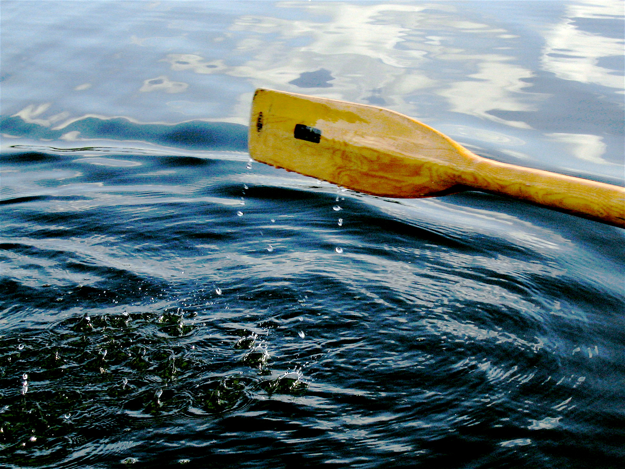 What did one oar say to another on Valentine's Day? image