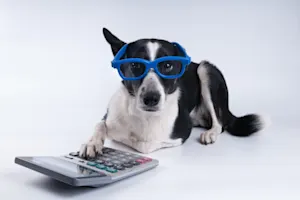 What do you get when you cross a dog and a calculator? image