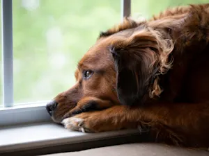 AdobeStock 232910950