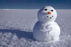 What's the snowman's New Year's resolution? image