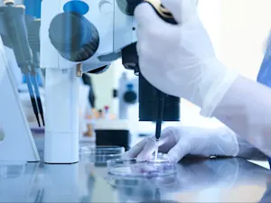 AdobeStock 416300006