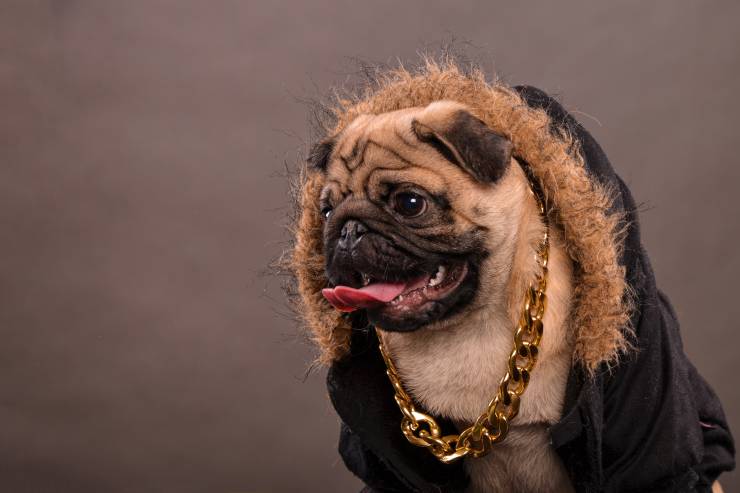  Why does Snoop Dogg always have an umbrella with him? image