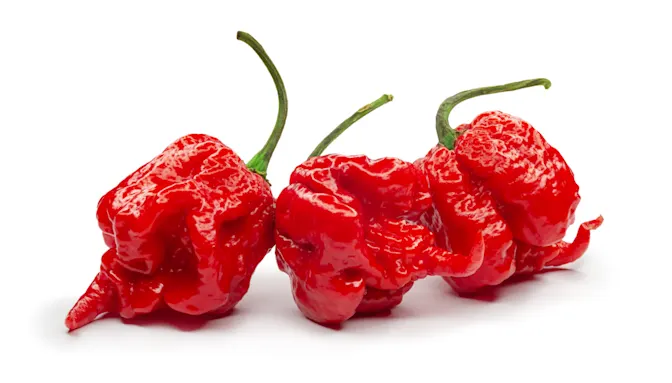Turn Up the Heat The Hottest Peppers in the World-2