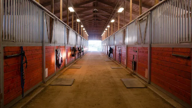 Murder in the Stable: A Deadly Crime of Passion-2