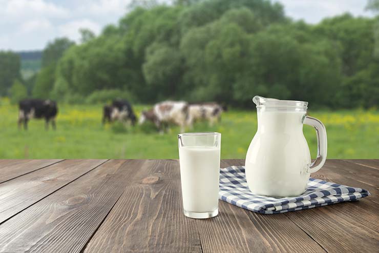  What's the best way to keep milk from turning sour? image