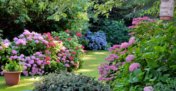 What is the fiercest flower in the garden? image
