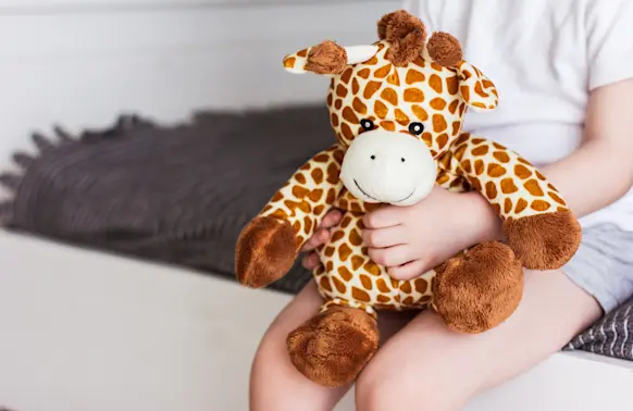 The Heartwarming Social Media Quest to Reunite a Boy with His Favorite Stuffed Animal-1