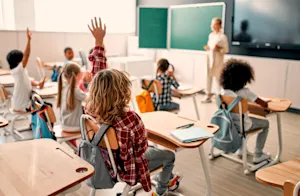 How do bees get to school? image